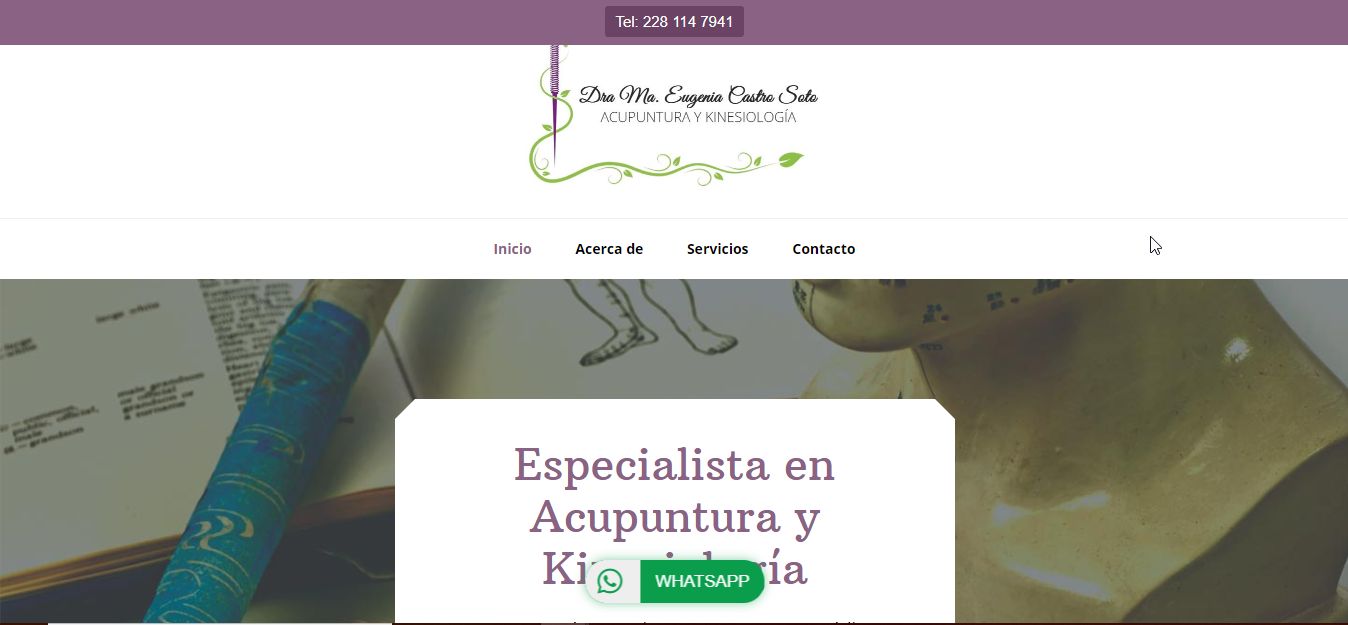 Sitio web de María Eugenia Castro Soto – Acupuntura