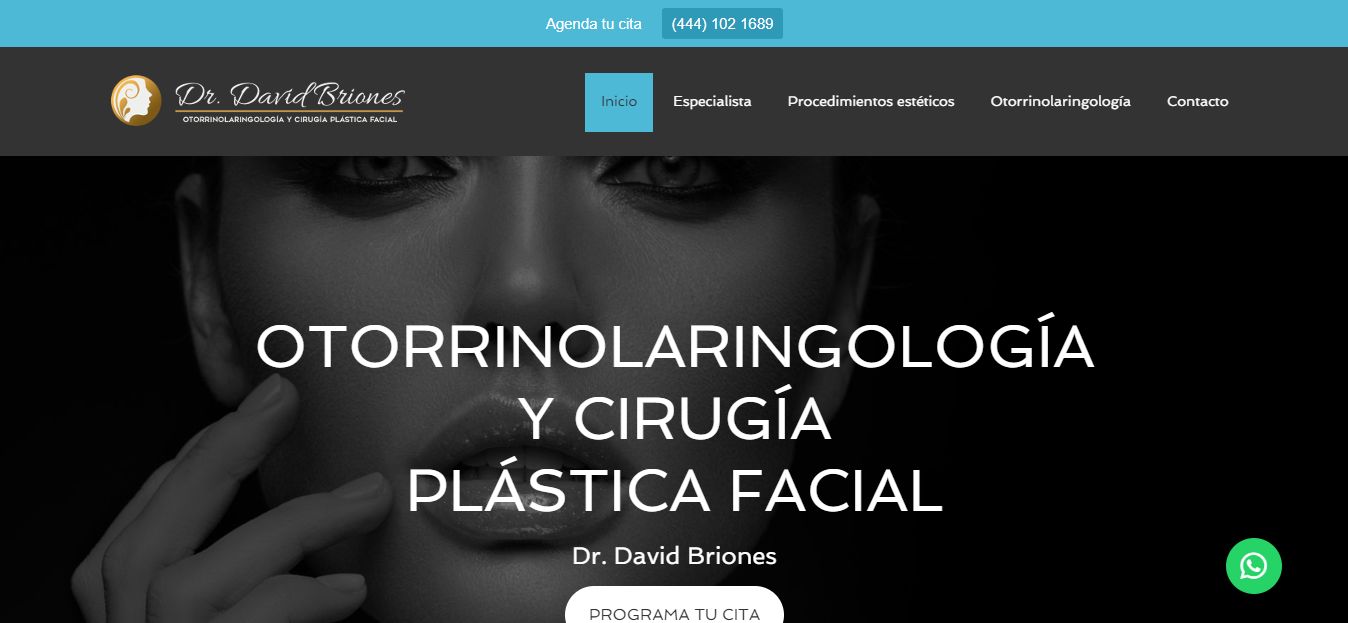 Sitio web de Otorrinolaringólogo en San Luis Potosí – Dr. David Briones