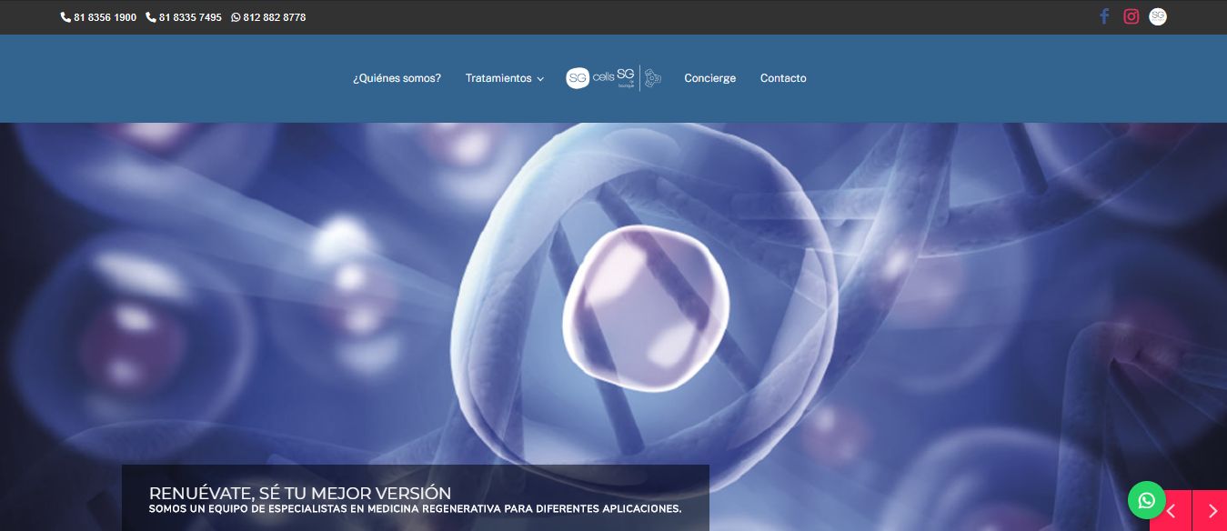Sitio web de SG Cells – Células Madre